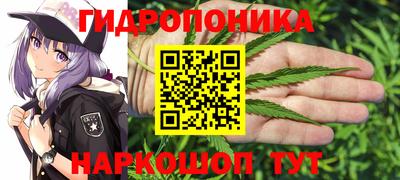 СК Волгодонск