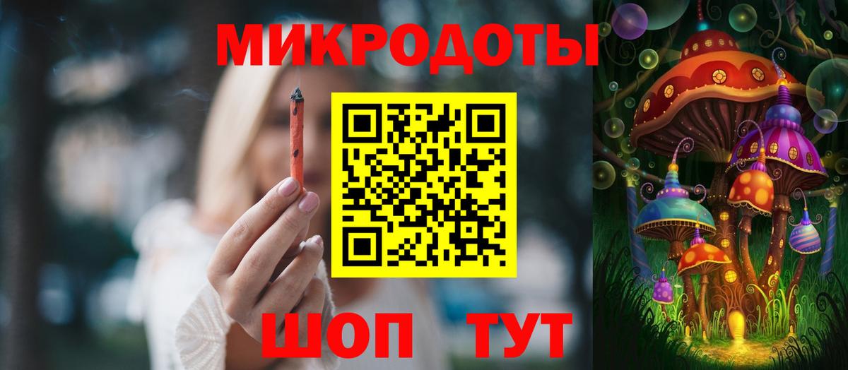 Галлюциногенные грибы Psilocybe Миллерово