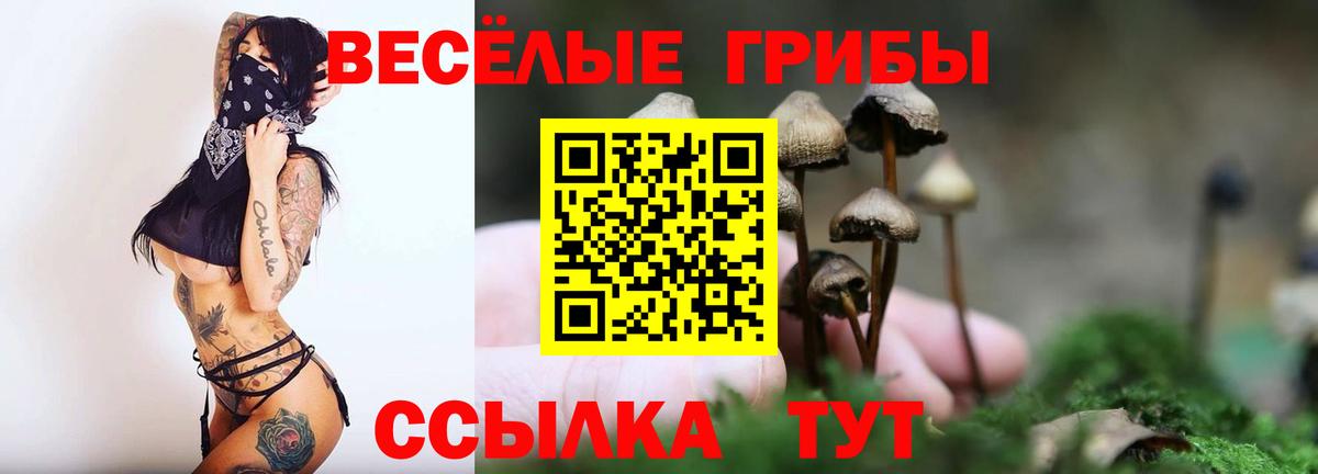 Миллерово  Галлюциногенные грибы Magic Shrooms  Псилоцибиновые грибы Psilocybe  Вход с VPN 